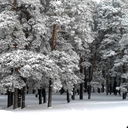Альберт Усманов