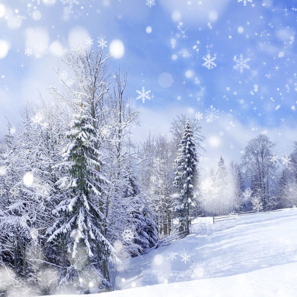 Лариса Родионова