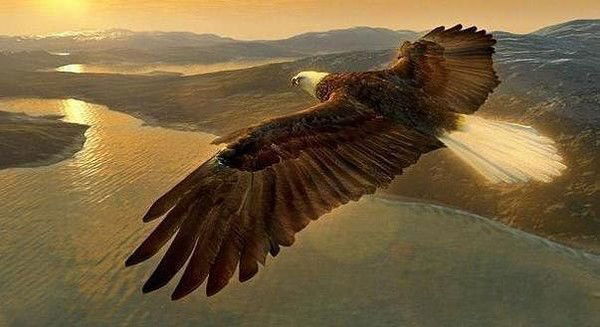 Сергей Логачев