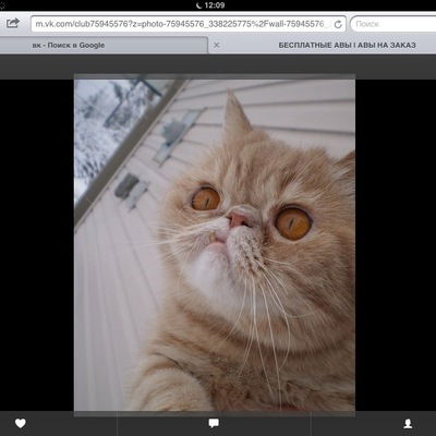 Виктория Лимекова