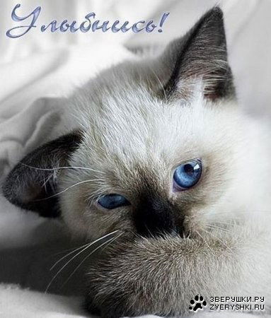 Татьяна Руденко