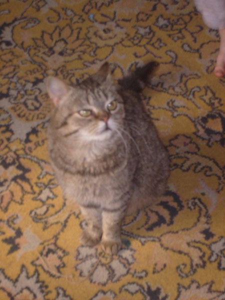 Тамара Козлова