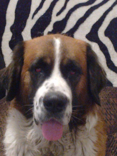 Татьяна Голикова