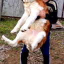Василий Колодкин