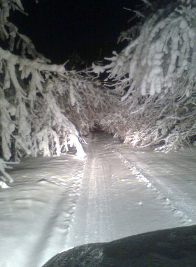 Наталья Чикринева