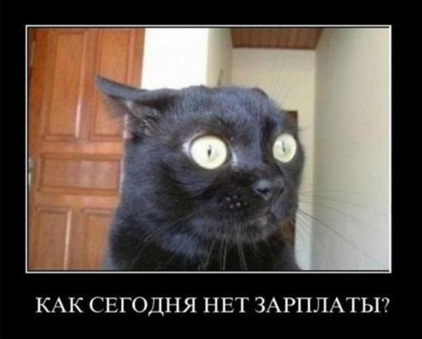 Владимир Шпеерсон