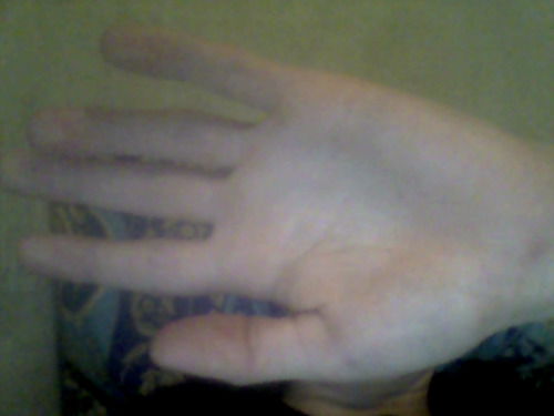 Николай Сухих