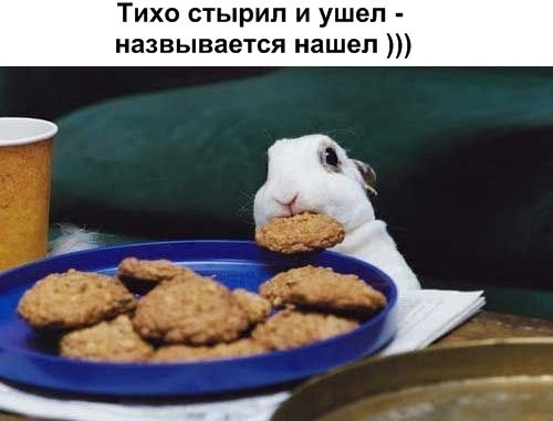 Марина Михайлова