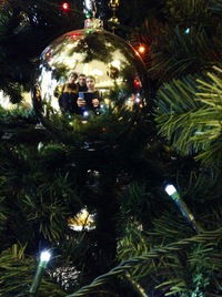 Роман Мешалкин