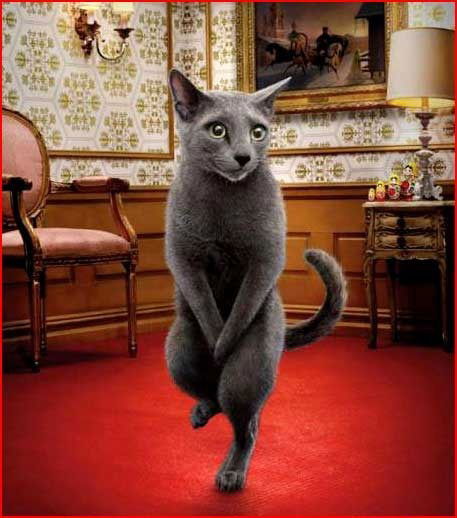 Грег Струженов