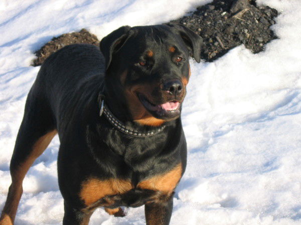 Катерина Самалёнкова