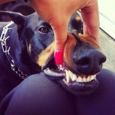 خجحقيس هجحقيظ