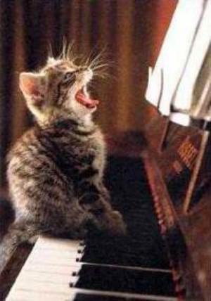 Виктор Панфилов