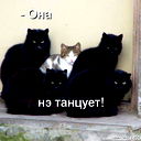 Аня Заря