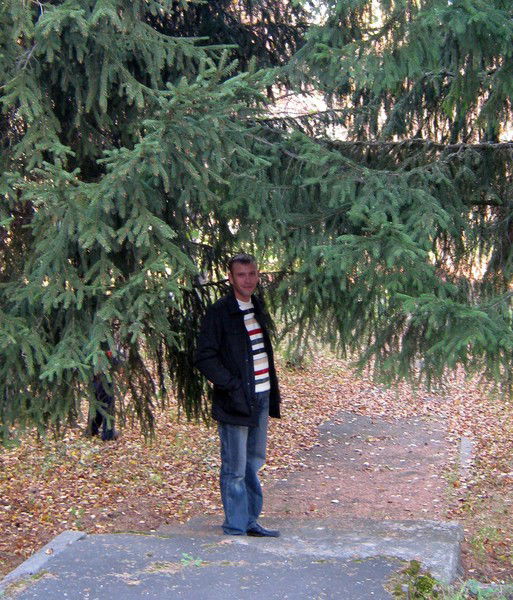 Николай Бочкарёв