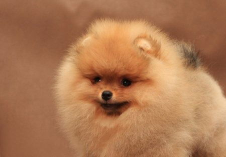 Марина Филиппова