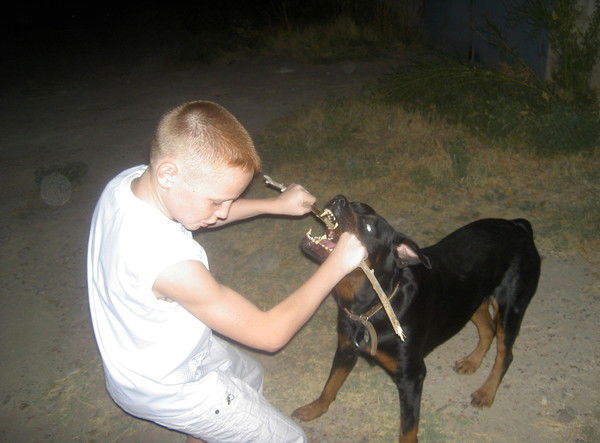 Вячеслав Костюков