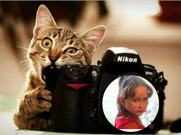 Екатерина Ильченко