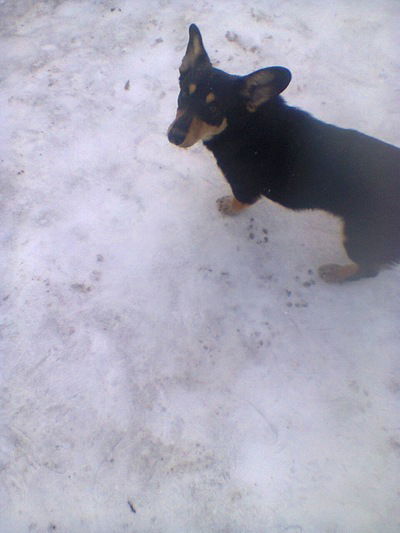 Ерлан Канапьянов