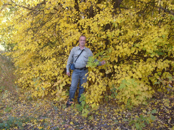 Ильвир Муратчин