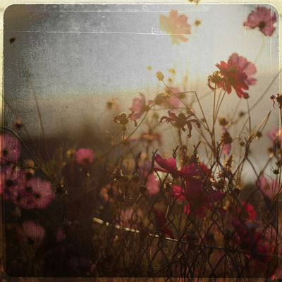 Gadюkina&& Add Galaxy