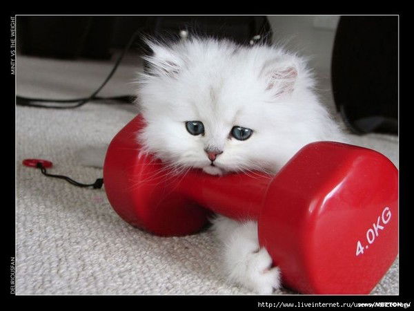 Вика Никулова