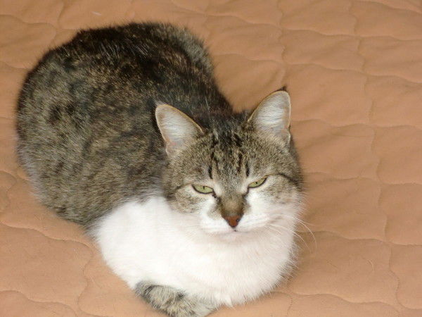 Людмила Ермолова