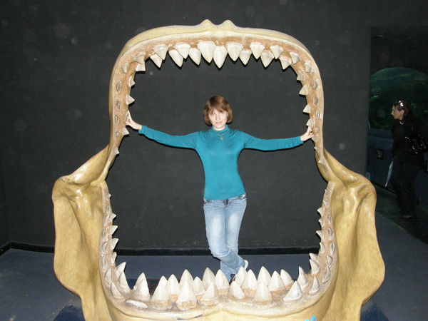 Ольга Новикова