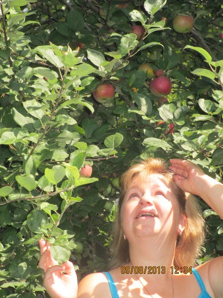 Евгения Венецкая