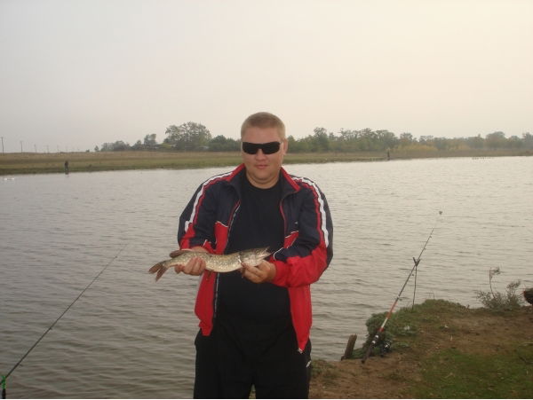 Андрей Сорокин