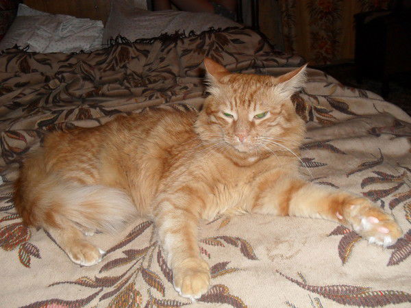 Алексей Зубаков