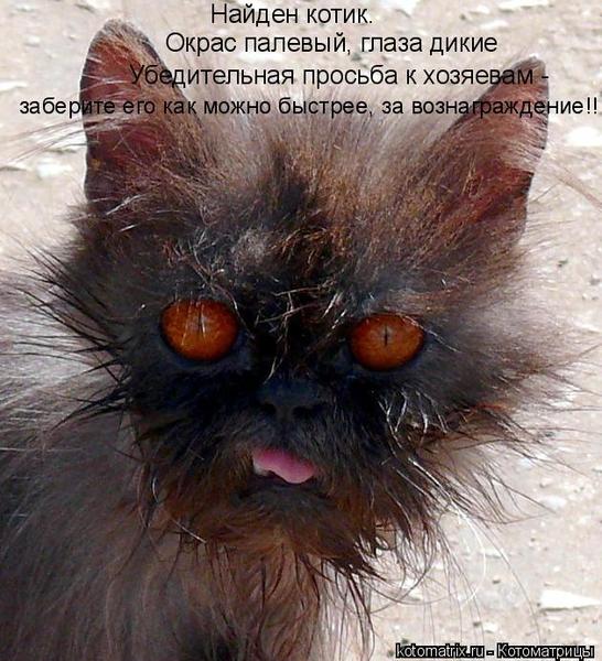 Татьяна Бычкова