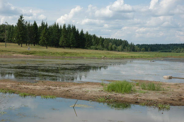 Зоя Горовенко