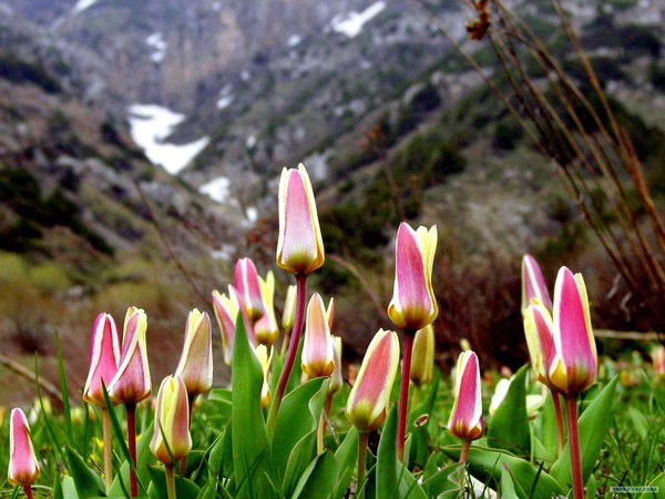 Гульзат Нурпеисова