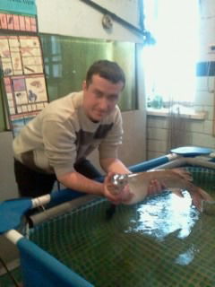 Миша Панчишный