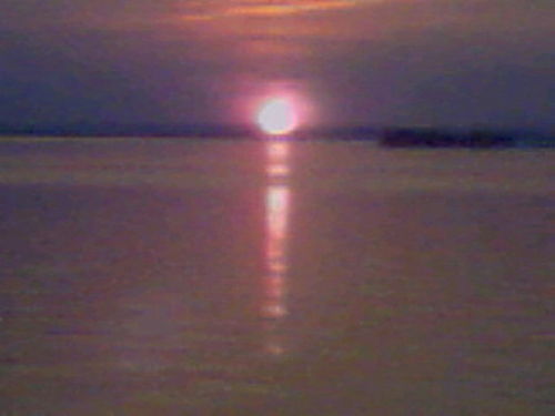 Святослав Сокол