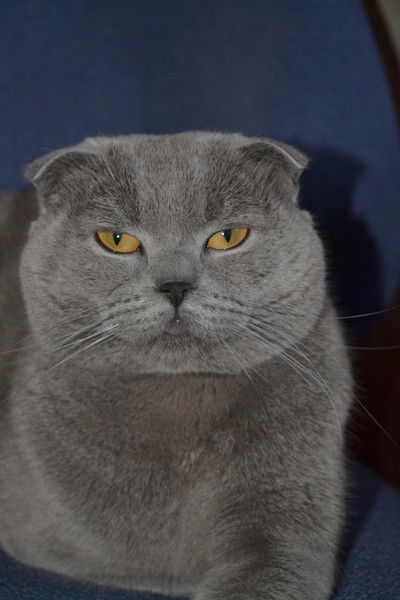 Сергей Дагоров