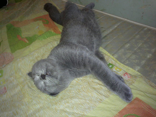 Наталия Бойчук