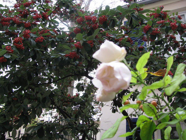 Калинин Вадим