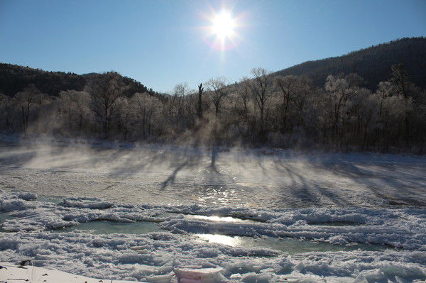 Дмитрий Брянкин