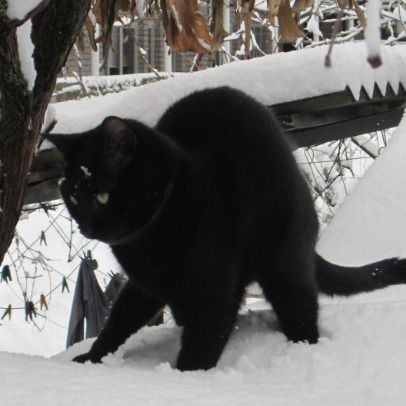 Александр Михайлов