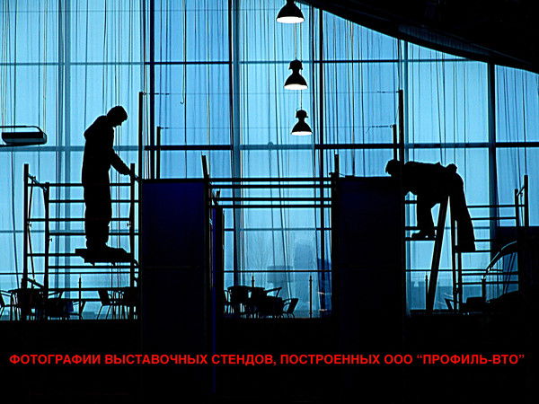 Дмитрий Елисеев