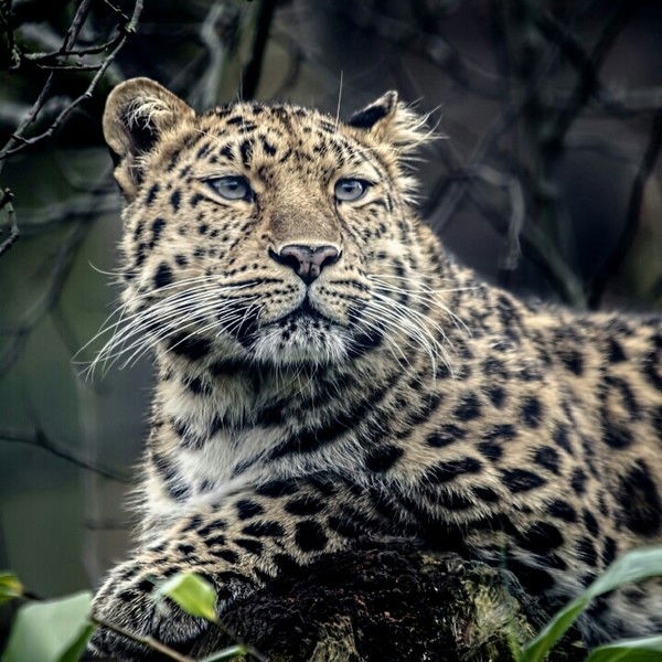 Анна Потешкина