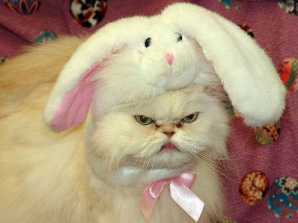 Валерий Жуков