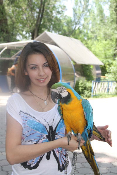 Эльмира Фурманова