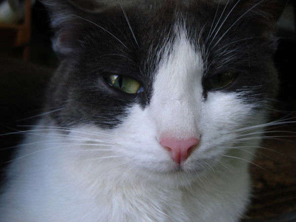 Ильнур Шайдуллин