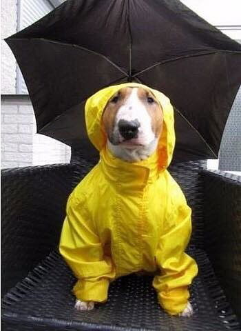 Наталья Калужина