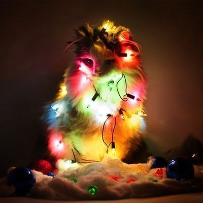 Максим Хатьянов