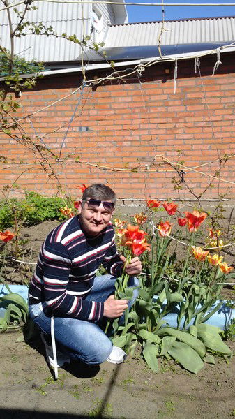 Олег Щербинин