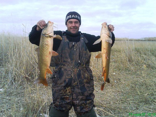 Виталий Янаки